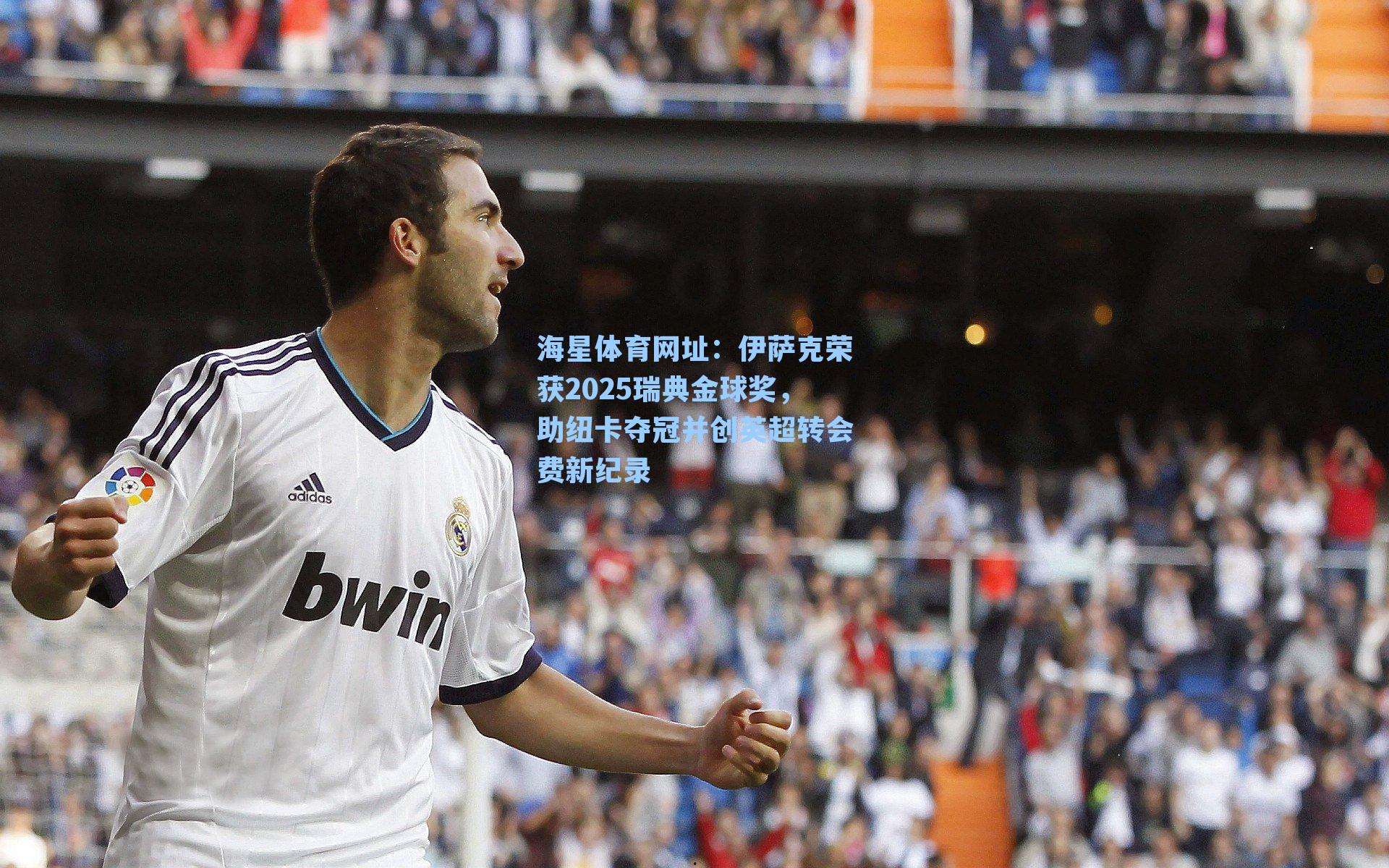 伊萨克荣获2025瑞典金球奖,助纽卡夺冠并创英超转会费新纪录