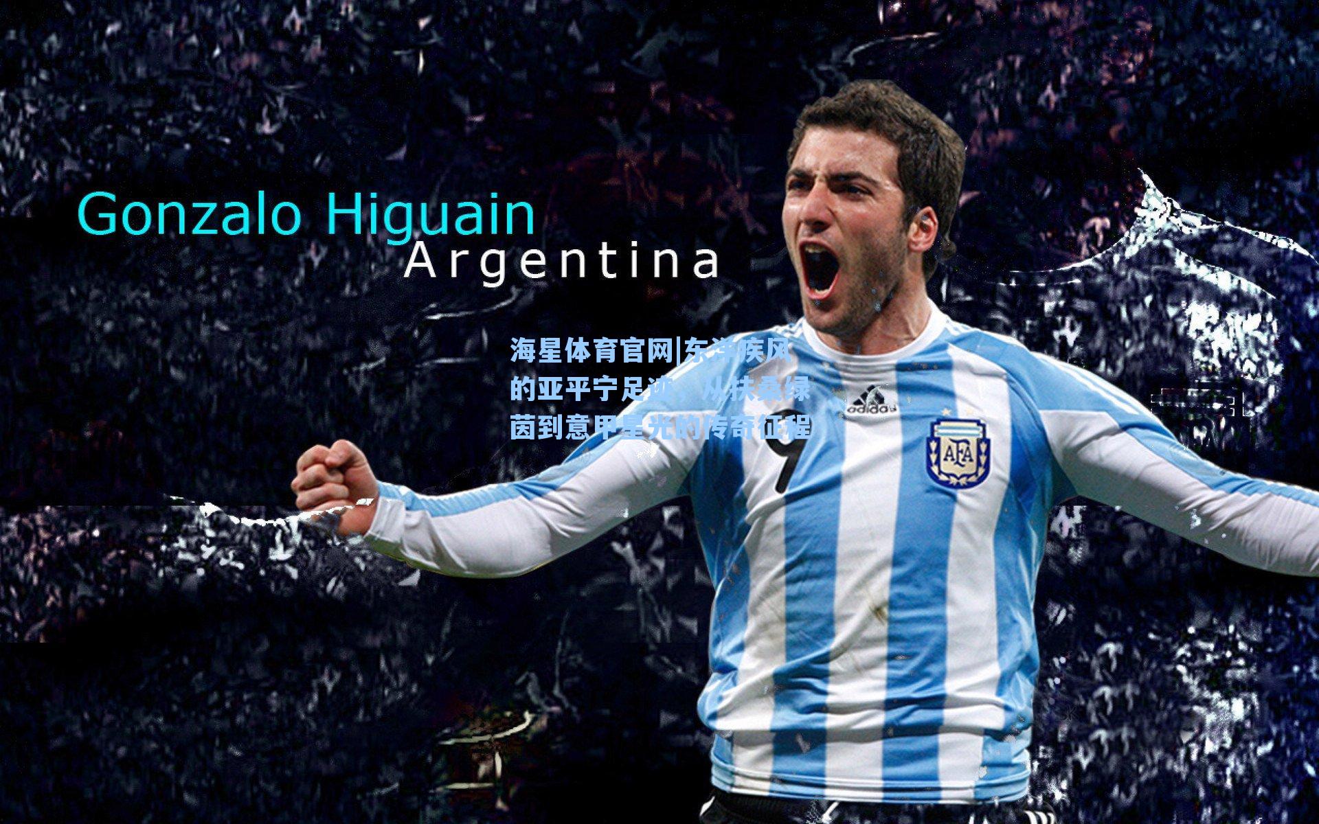 东洋疾风的亚平宁足迹,从扶桑绿茵到意甲星光的传奇征程